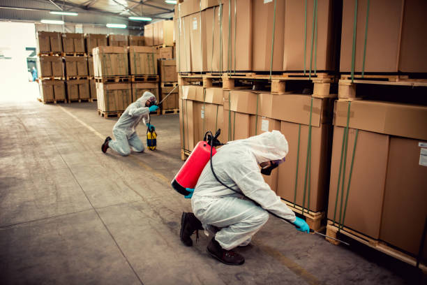 Best Flea Control Services  in Almont, MI