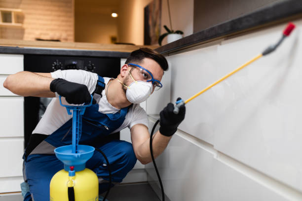 Best Affordable Pest Control Services  in Almont, MI