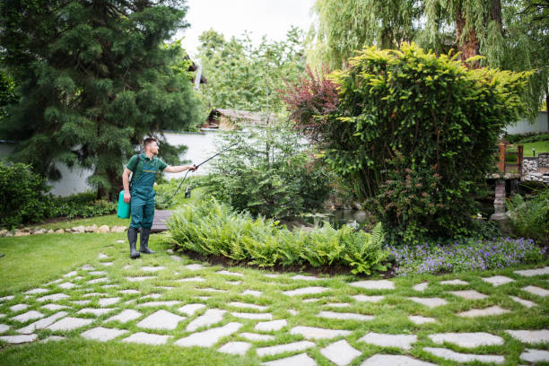 Best Wasp Removal Services  in Almont, MI
