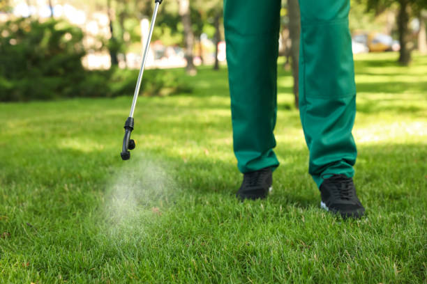 Best Affordable Pest Control Services  in Almont, MI