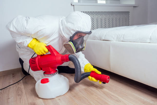 Best Pest Control Near Me  in Almont, MI